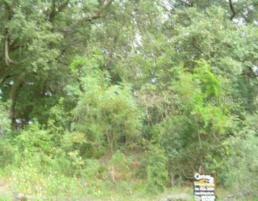 Oakridge Dr., Lady Lake, FL 32159