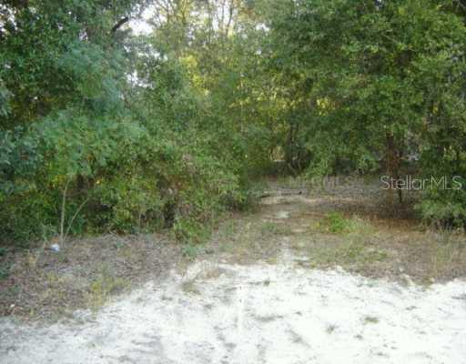 Oakridge Dr., Lady Lake, FL 32159