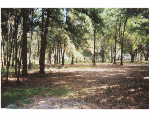 11105 SW 49th Plz, Webster, FL 33597