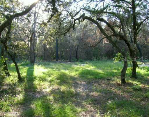 11226 Sw 53rd St., Webster, FL 33597