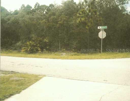Viola Ave., Eustis, FL 32736