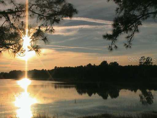 39045 Forest Dr., Eustis, FL 32736