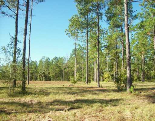 Deepsprings Loop, Sorrento, FL 32776