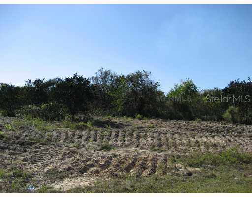 Mustang Tr., Lady Lake, FL 32159