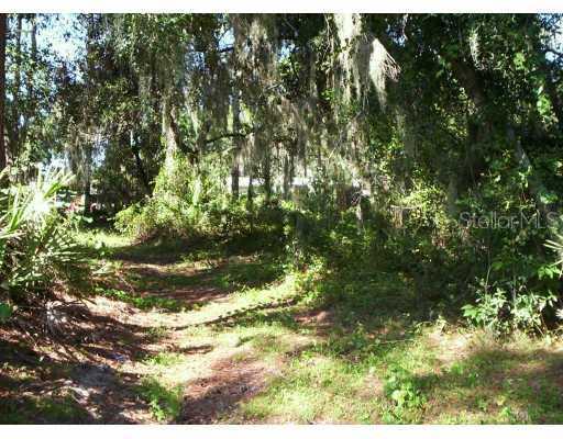 902 Elysium Blvd., Mount Dora, FL 32757