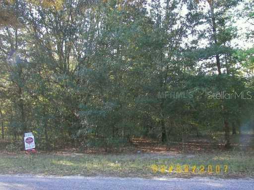 Coronado Somerset Dr., Sorrento, FL 32776