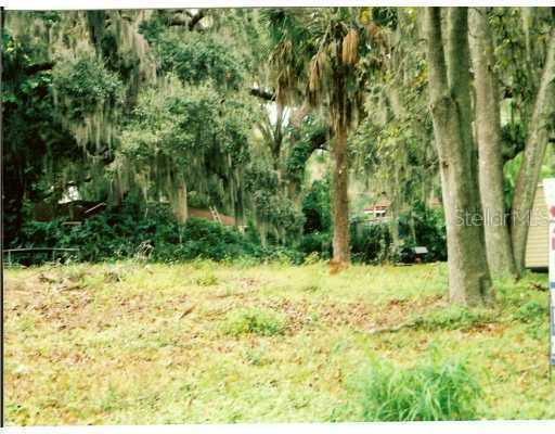 Woodward Ave., Eustis, FL 32736