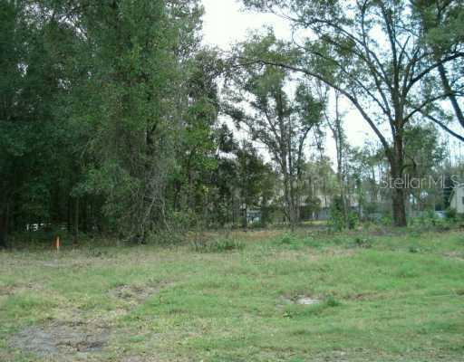 2434 Sunrise Blvd., Mount Dora, FL 32757