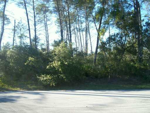 Balsam St., Eustis, FL 32736