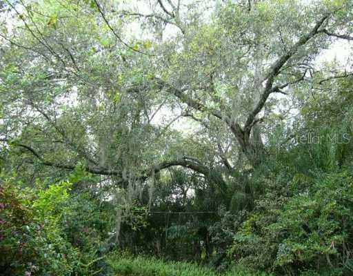 Interlachen Dr., Sorrento, FL 32776