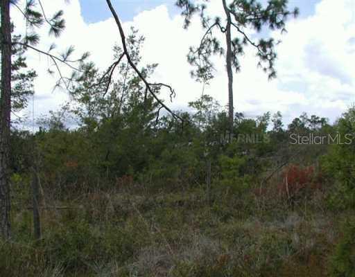 27602 Hilda Ave., Paisley, FL 32767