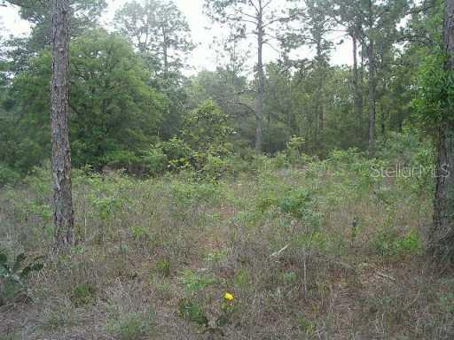 South Rd., Altoona, FL 32702