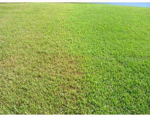 325 Lee St., Ocoee, FL 34761