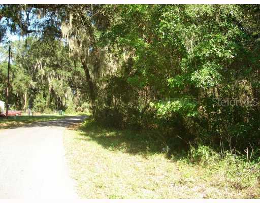 Cr422, Lake Panasoffkee, FL 33538