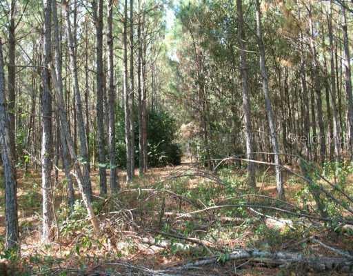 Empire Church Rd., Groveland, FL 34736