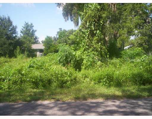 Powell St., Wildwood, FL 34785