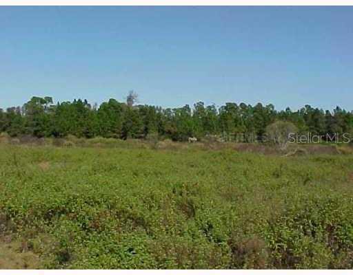 Los Robles Rd., Groveland, FL 34736