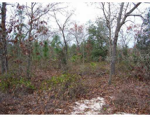 SE 108 Ave., Ocklawaha, FL 32179