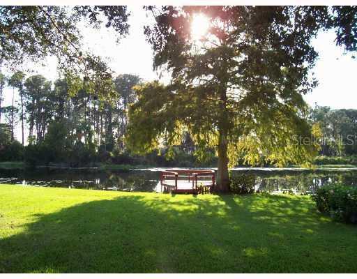 15136 Colley Dr., Tavares, FL 32778