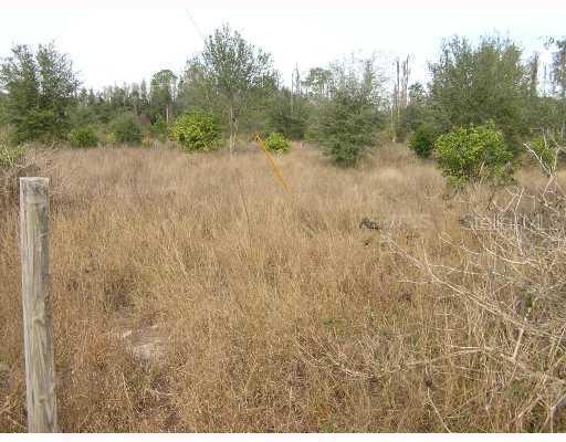 Postal Colony Rd., Clermont, FL 34711