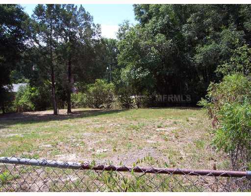 Greenwing Rd., Altoona, FL 32702