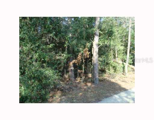 Duxbury Ave., Sorrento, FL 32776