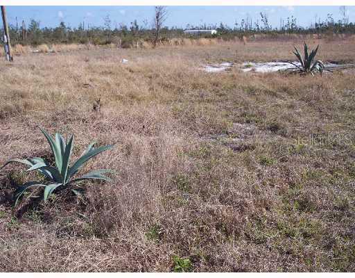 43620 Bear Lake Blvd., Deland, FL 32720