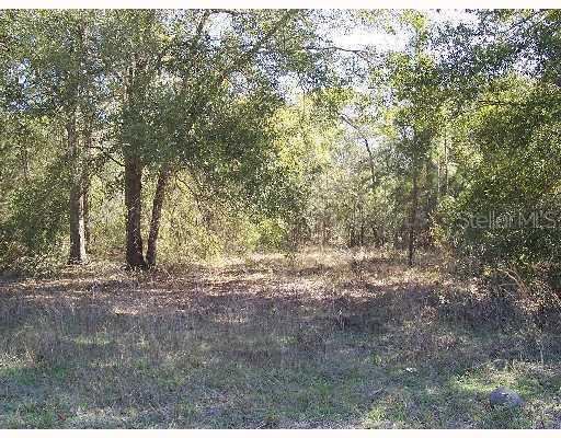 SE 84 Ter., Summerfield, FL 34491