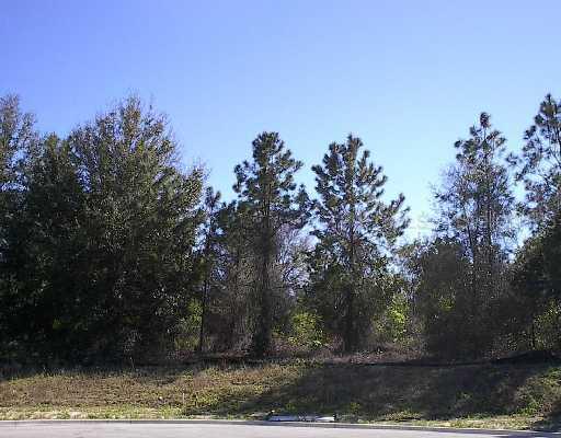7083 Norne Ln., Mount Dora, FL 32757