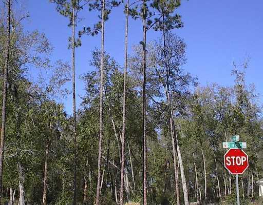 6602 Sinisi Dr., Mount Dora, FL 32757