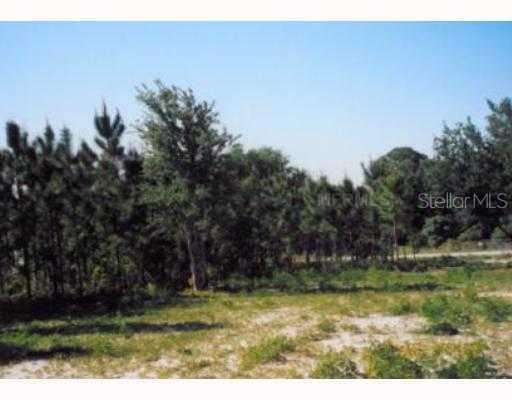 Lake Nellie Rd., Clermont, FL 34711