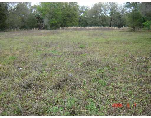 Riordan Rd., Eustis, FL 32736