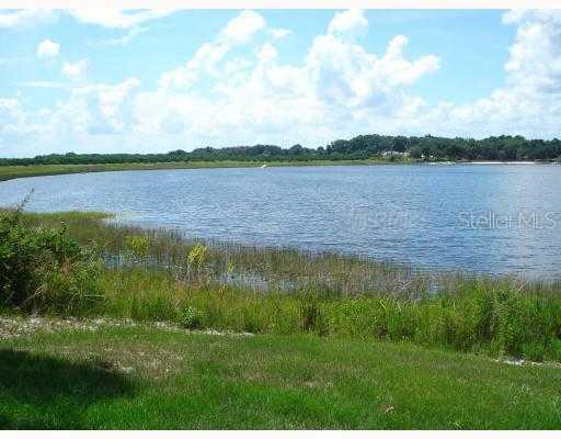 Ranch Club Blvd., Groveland, FL 34736