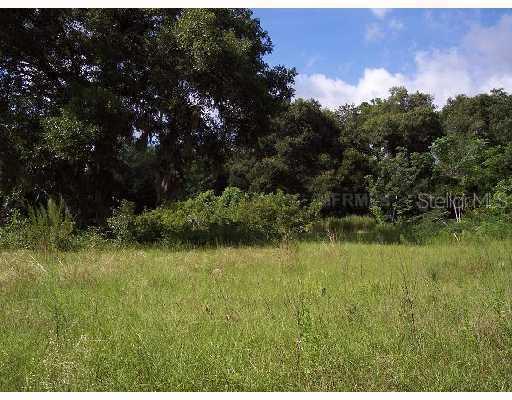 Clayton Trl Lot 37, Altoona, FL 32702