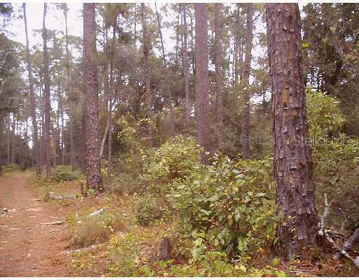 Se Hwy 464 C Lot 003, Ocklawaha, FL 34481