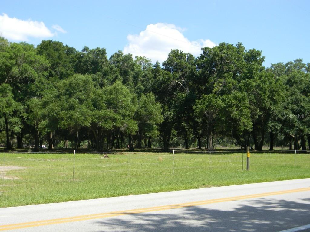 Dora Ave., Mount Dora, FL 32757