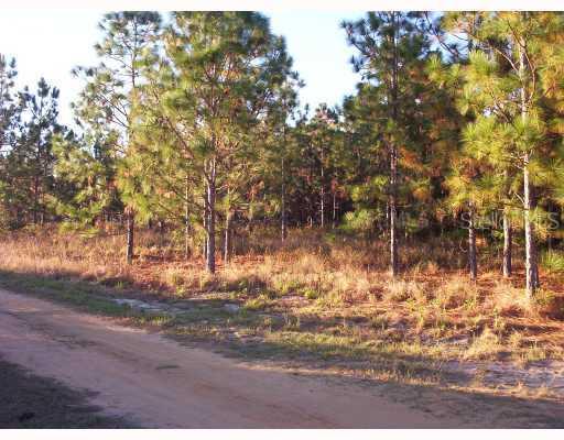 Unamed Road, Clermont, FL 34711