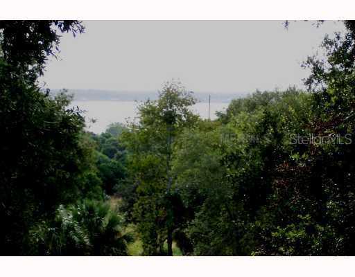 Virginia Anne Ln., Mount Dora, FL 32757