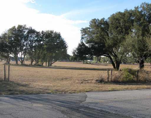 Cr 209 10.98 Acres, Oxford, FL 34484