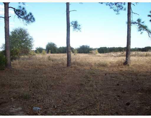 17418 Villa City Rd., Groveland, FL 34736