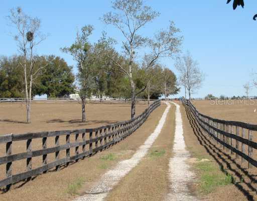 4301 Ondich Rd., Apopka, FL 32712