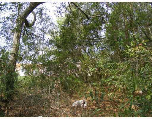 Wallick Rd., Sorrento, FL 32776