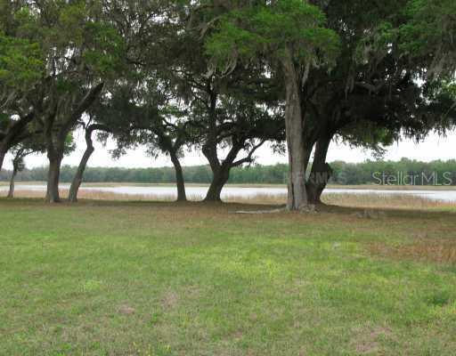 Cr 209  10.54 Acres, Oxford, FL 34484