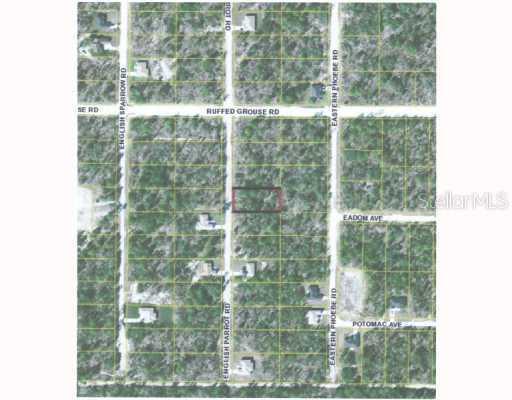 English Parrot Lot 4 Rd., Brooksville, FL 34614