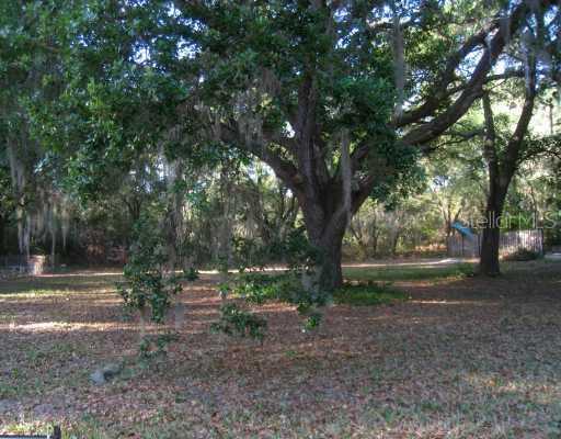 Dells Cove, Groveland, FL 34736