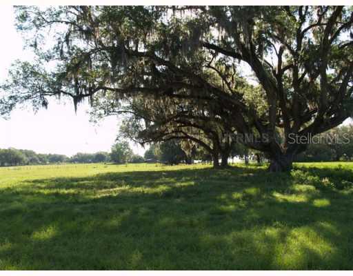 10797 Ne 27th Street, Oxford, FL 34484