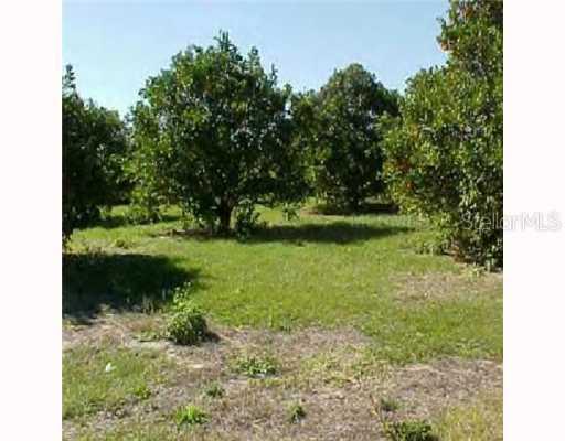 [Address Hidden by Seller], Groveland, FL 34736