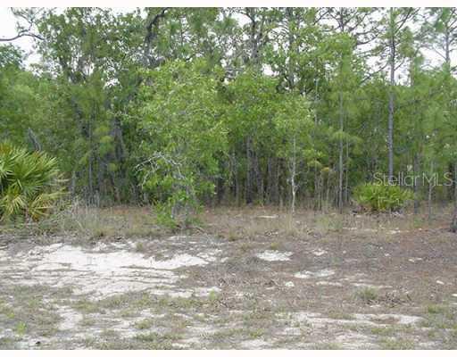 Cr 243a, Wildwood, FL 34785