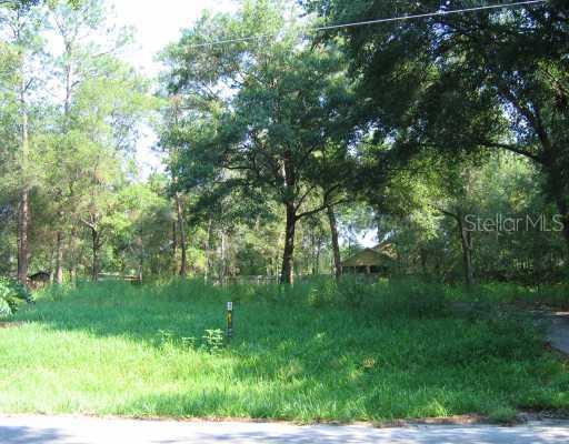 25739 Pinehurst St., Sorrento, FL 32776