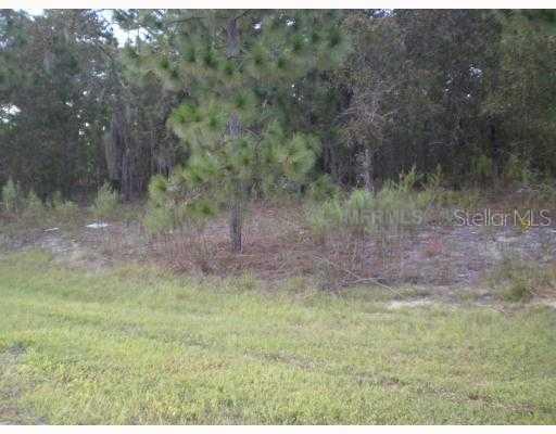 Cr 243 E-1 Lot 52, Wildwood, FL 34785